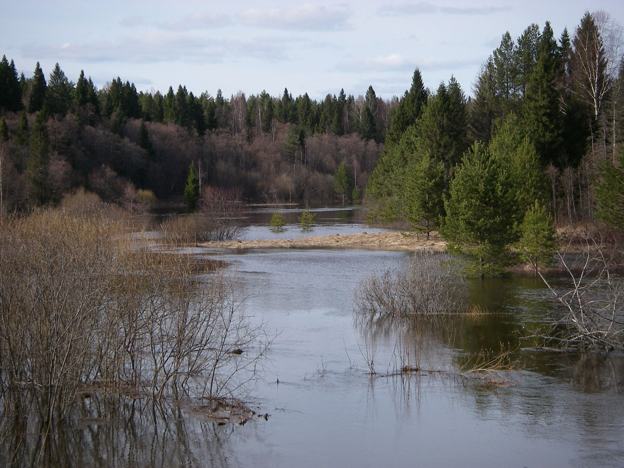 Река Шача Костромская область