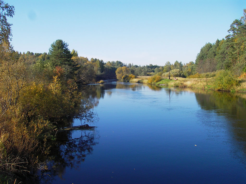 Река западная двина. Западная Двина река. Двина река. Река Западная Двина Беларусь. Река Западная Двина в Западной Двине.